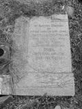 image of grave number 106335